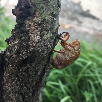 生まれも育ちも沖縄です。本島南部に住んで暇さえあれば海に行ってウインドサーフィンを近くのビーチで楽しんでいます。沖縄の海やインスタ映えするスポットをツイートしてます。後、地元ならではの詳しいスポットや店舗を知って欲しい ですね、情報はブログで紹介しています。＊沢山のDM頂きありがとうございます。返事が遅れてすみません