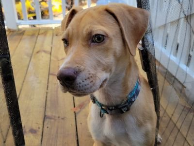 BuckHarley88377's profile picture. 42 yo Male