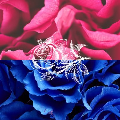 ARoseLane9456's profile picture. I’m a writer, just trying to figure some stuff out. Hi 👋🏻