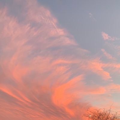 devin_1031's profile picture. 