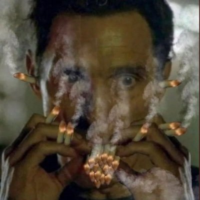 FrancescaMGil's profile picture. 