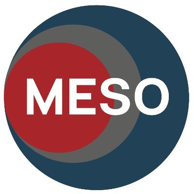 MESO Lab Profile