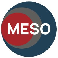 MESO Lab (@themesolab) 's Twitter Profile