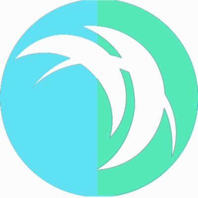 safex_abe's profile picture. https://t.co/YgwQ7BAGb0 Is the first real world use case Crypto in this world, They built a decentralized marketplace using the Safex blockchain. 

#paidwithSFX