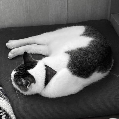 mさんのプロフィール画像