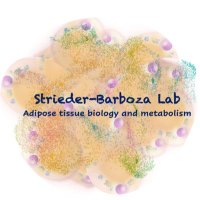 Strieder-Barboza Lab (@sblab_ttu) 's Twitter Profile
