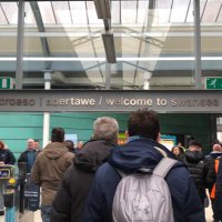 うぉん (@swans_wo) Twitter profile photo