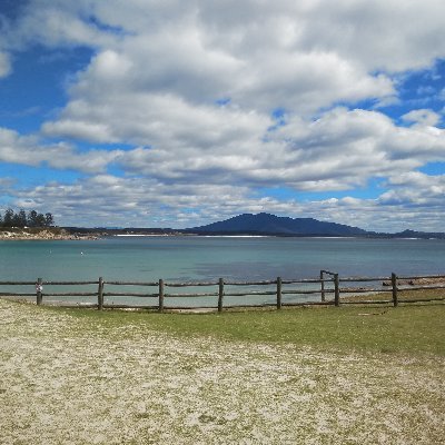 WordEthics's profile picture. Writer, Entrepreneur and Environmentalist