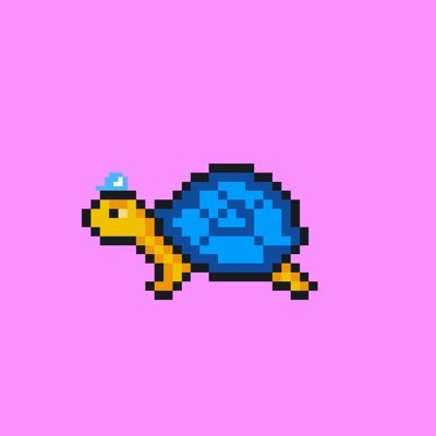 An NFT Collection of 10,000 Turtle Pixel Art. Follow Now For Giveaway!