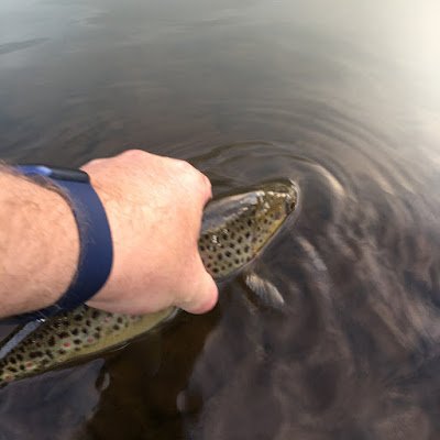 Family first , Fishing second. Trout and Salmon fisherman , mainly on the river Tweed and Bonsai ..