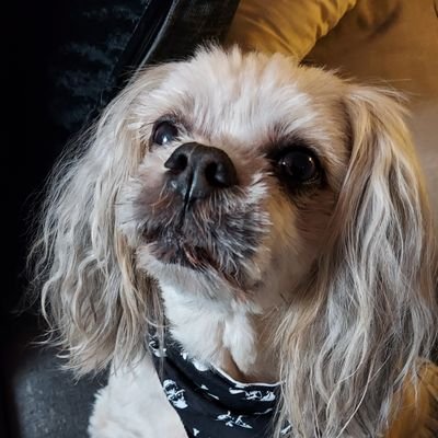 jam92934101's profile picture. Alive