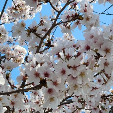 rgrg5527's profile picture. 나른한 오후