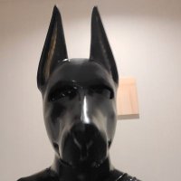 apcot (@apcot3) 's Twitter Profile