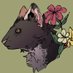 Rat (@Geometric_rat) Twitter profile photo