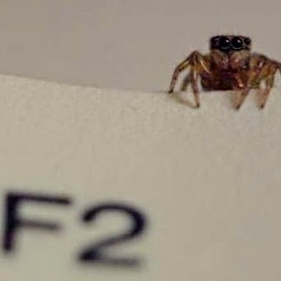 ColombiaFdos's profile picture. 