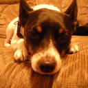 Sean Burnette - @seanburnette - Twitter