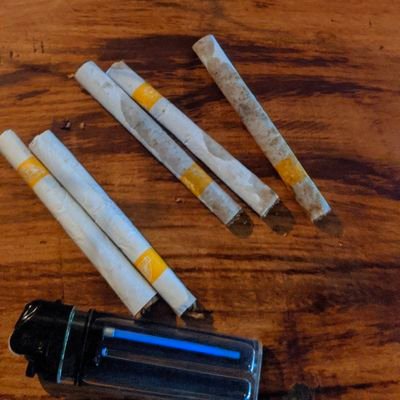 MohhHasan's profile picture. أنظر ما قال ولا تنظر من قال