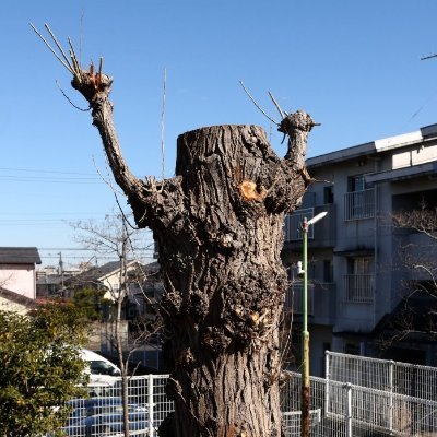 生姜焼きに玉ねぎ入れないで下さい。
お願いします。
ありがとう。
俳句を少々。