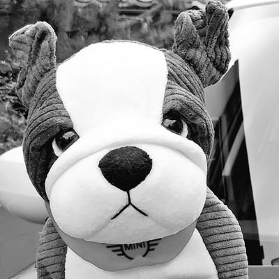 nkc🐶🐾さんのプロフィール画像