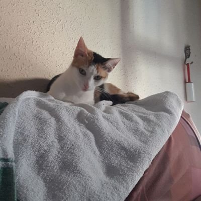 JesusGarciaAlo1's profile picture. TES