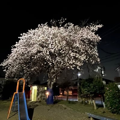 ツイッターを始めたいと思い、やり始めましたが、苦戦中。3人子育て奮闘中。1人親、やるしかないよ、家事育児。