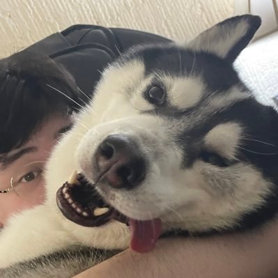 PikaJullian's profile picture. too much hobbies to count