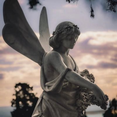 adecrftl's profile picture. prosperity/ tenacity