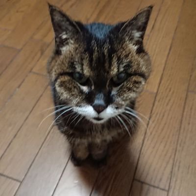 コミュニズム「共同」=支え合い・協力していくという語源からきています。身近に「コミュニティセンター」等も同じ語源から来ています。一人ひとりの人間の自由な発展を土台においた、自由平等な社会。これが私たちの目指す未来です。2020.9.1 志位和夫
共産党を一人でも多くの人に知ってもらいたい。
見返りは民主主義。