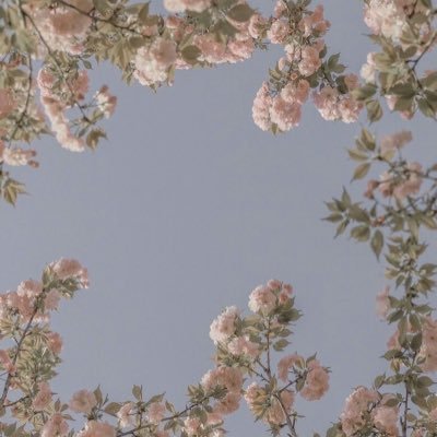 JBLUE_6's profile picture. iOS개발자되려고 공부중❤️‍🔥