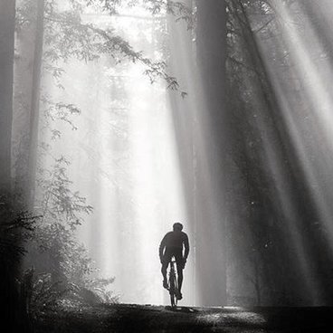 FrankCycle1's profile picture. 