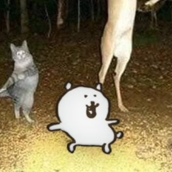 무릉さんのプロフィール画像