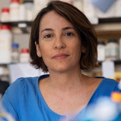 Neuroscientist @GIMM_Institute. Puzzled by the#aging#brain. Reader and traveler. Fan of impactful people. Advocate for #scientific conduct and open-mindness.