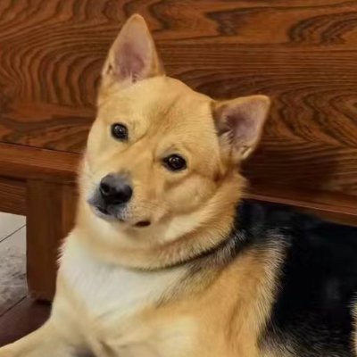 szpengvictor's profile picture. time is all