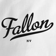 "Oasis of Nevada." Surrounded by farms, ranches, and wetlands - a birder's paradise. Fallon offers the outdoors, arts, shops, & special events yea