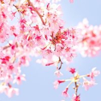 nagi ð°ð (@ynagi_snw) 's Twitter Profile