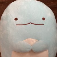 ぽかり (@gnbrwts2) 's Twitter Profile