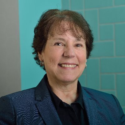 Interim Association Dean of Academic Affairs and Faculty Development at Michigan State University responsible for advancing the science of nursing education and