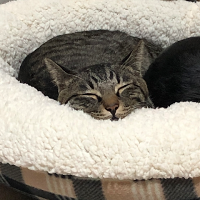 HUTAO___LOVE's profile picture. 