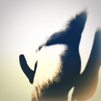 I N V I S (@invisibletrip) 's Twitter Profile