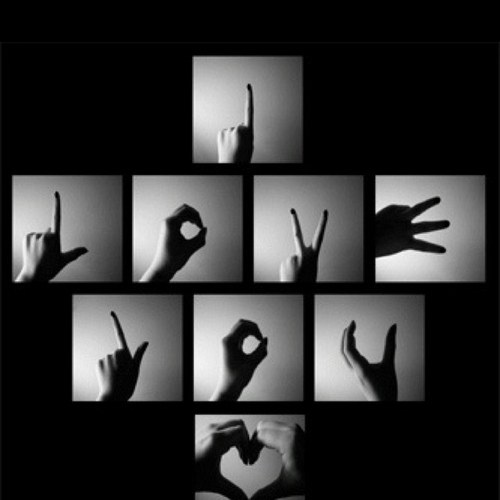 mahrootah's profile picture. 