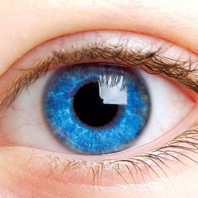 Mikael_G_'s profile picture. 