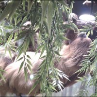 investigatorchic (@investigatorchi) 's Twitter Profile