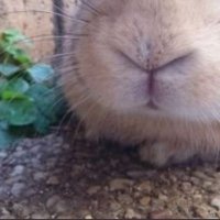 aki_bikke (@a_bikke) 's Twitter Profile Photo