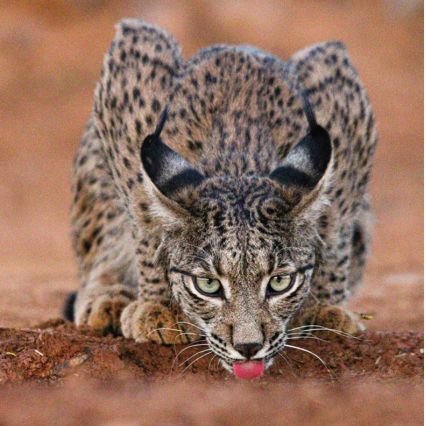 Yosoy22005717's profile picture. Respetar y ser Respetado