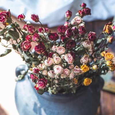 neverland5617's profile picture. 