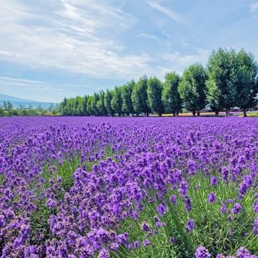 rBcLQUeI7KMqa96's profile picture. 