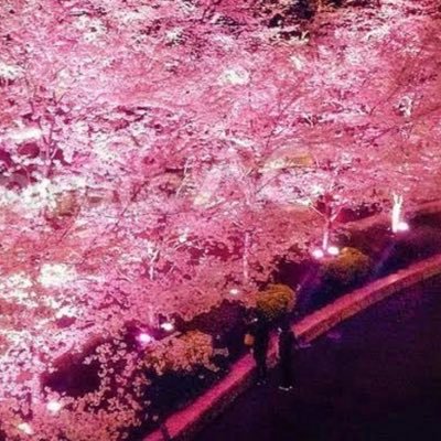 0624Takuma's profile picture. やあ