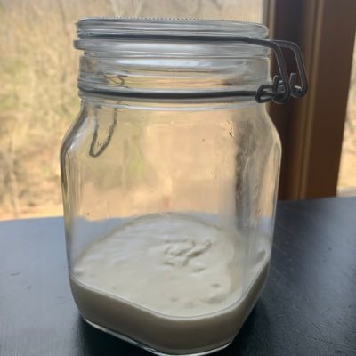 Well traveled sourdough starter born on March 15, 2022 in Ft Thomas, Ky.