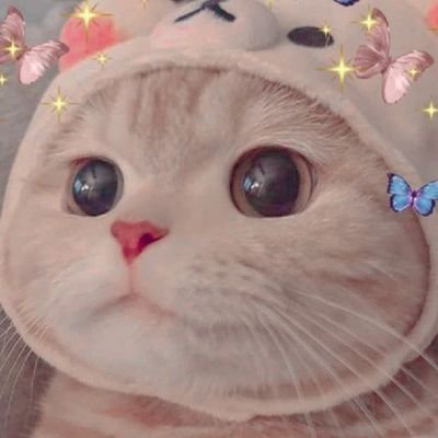 hikateoy's profile picture. 🧚🏻‍♀️🤍
