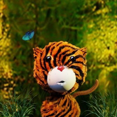 @SurajSu87665500